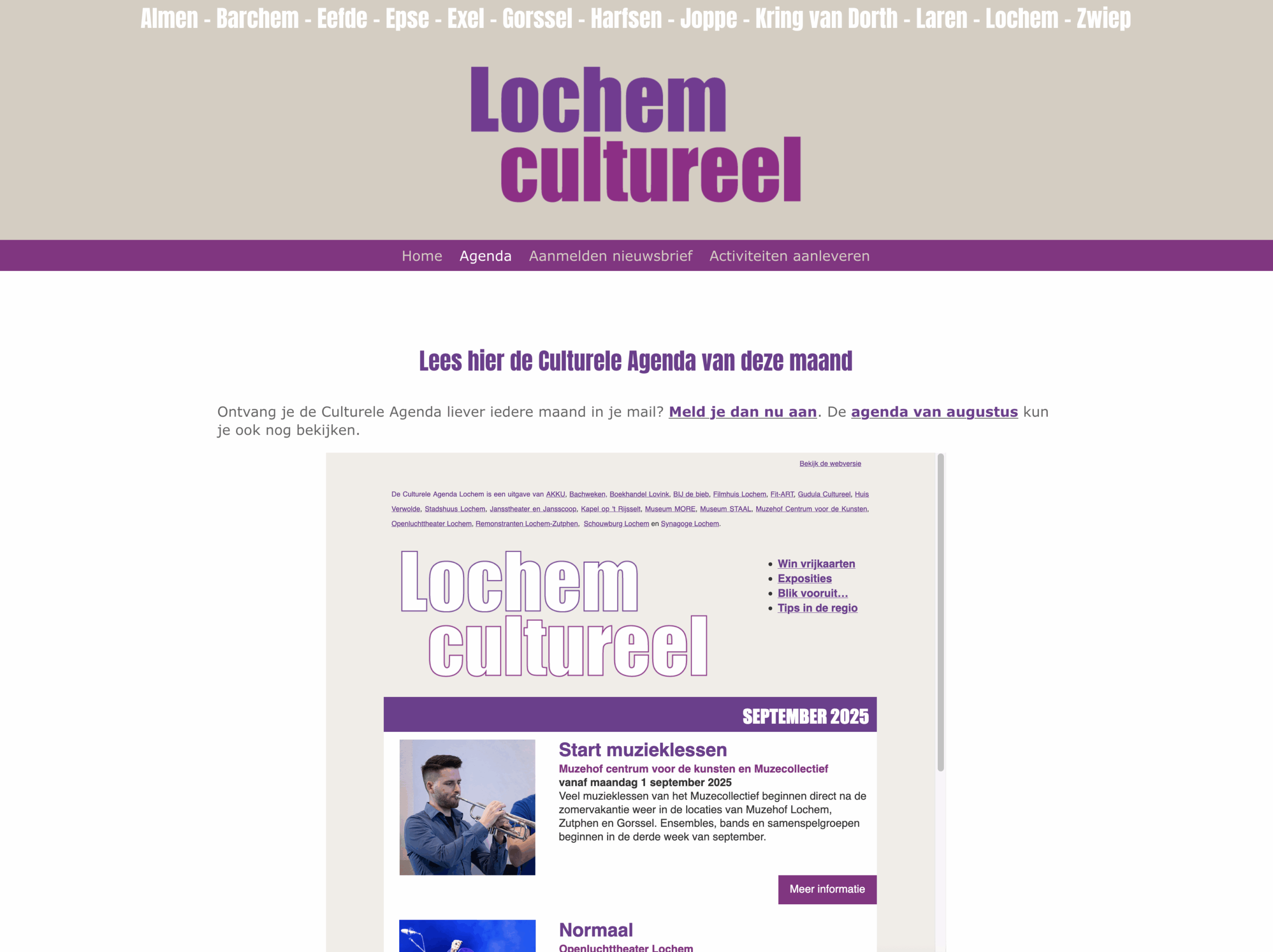 Website Lochem Cultureel: voor pUbliek
